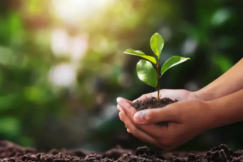 Área rural com vegetação preservada em processo de licenciamento ambiental