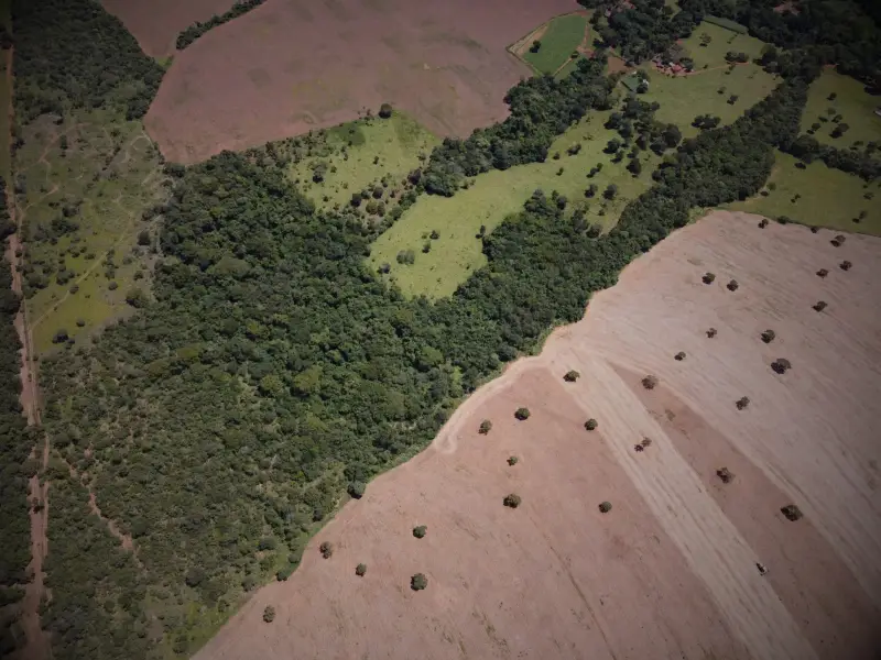 Mosaico de vegetação nativa e área agrícola em propriedade rural